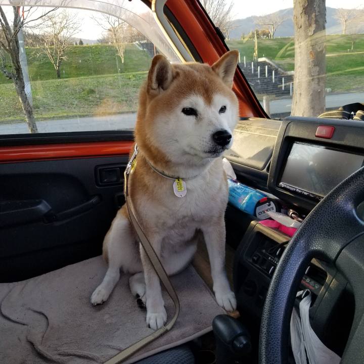 26a08f5d 0531 4dc6 8a38 e52a18071237 1669531349208