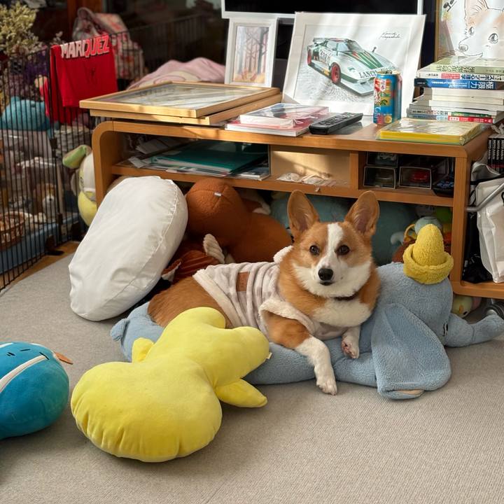 26a0a0b5 5561 4f6f 9c39 a8bee1b91588 1768203386293