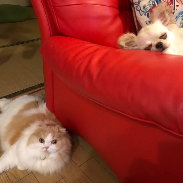 26a0b06b d331 43f5 ad15 a8046816b0ce 1563831504318