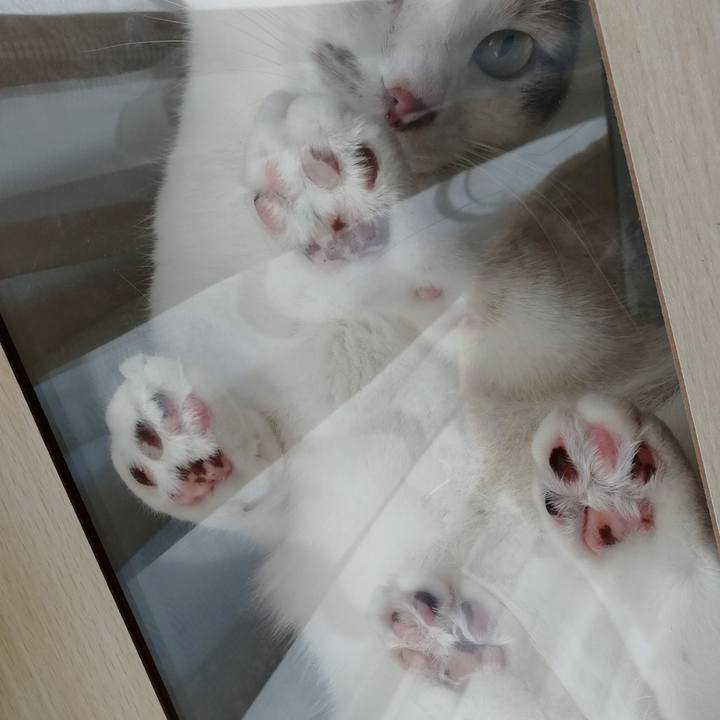 26a0f432 b617 4a4b 8007 27502430561c 1546870460425