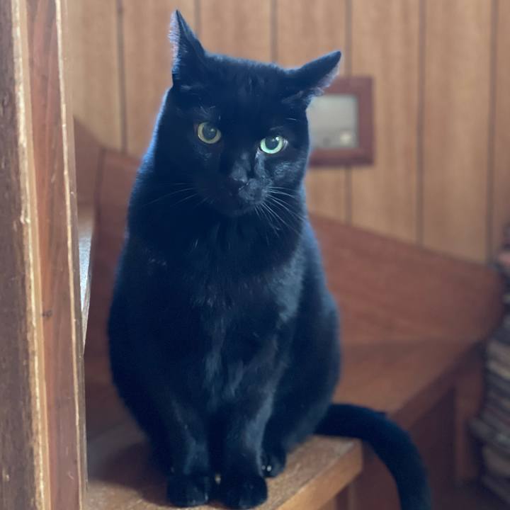 26a132ef 684e 4560 a354 7f29539e9124 1608252550286