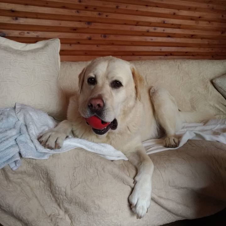 26a133ff abf9 4fe6 a1ce 4071a2c35bb2 1624276385020