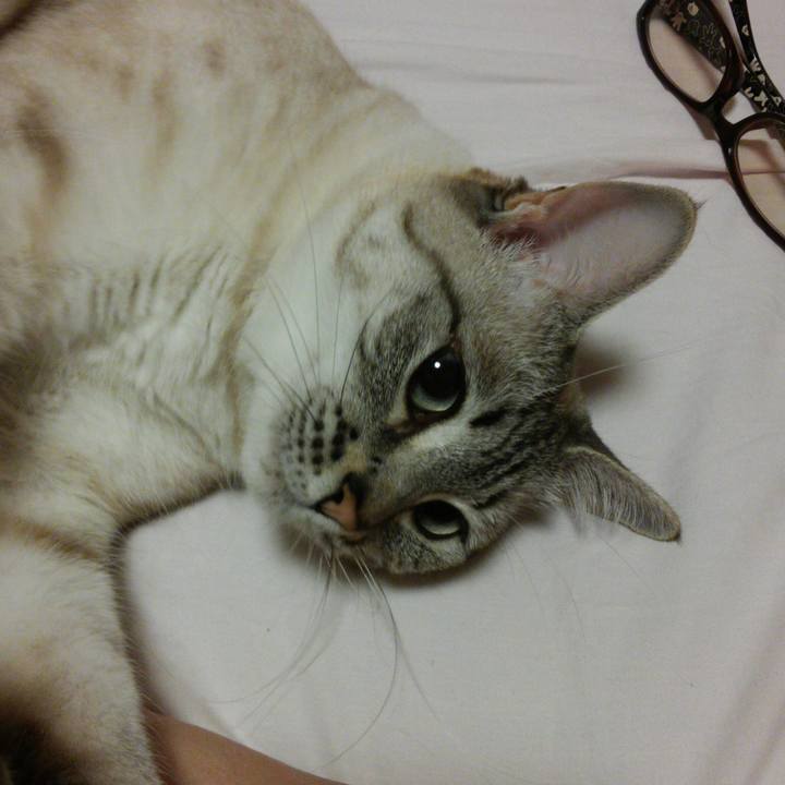 26a1486f 91df 4cbd b615 d503d143e9ee 1528814078048