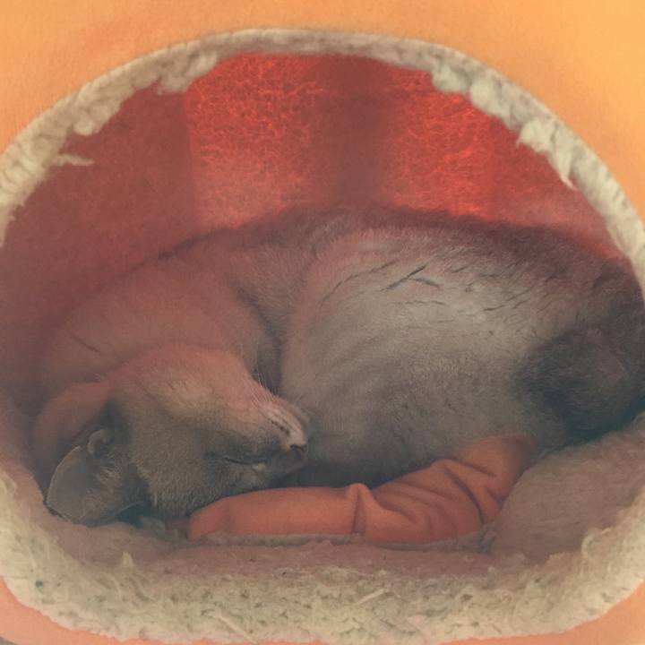 26a16c9c 142a 4b4d af4f 4ce8bc349ba7 1536368852721