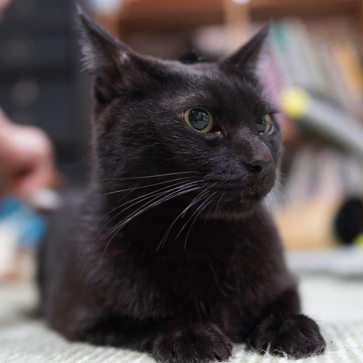 26a19a74 c67c 46de b876 f24c9f2e14f9 1730700995478