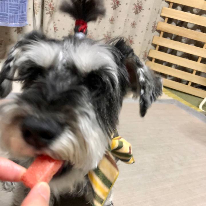 26a19e18 19c9 4d5d a6ee 1913ec676133 1657413801563