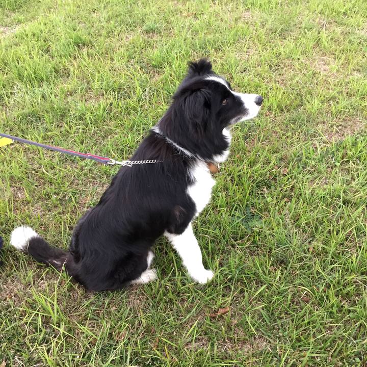 26a1bc64 1c44 4980 bf29 0e03e442a78d 1537184968626