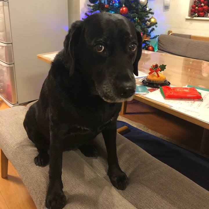 26a1da78 e02b 48e0 a230 562912a4f413 1545687823774