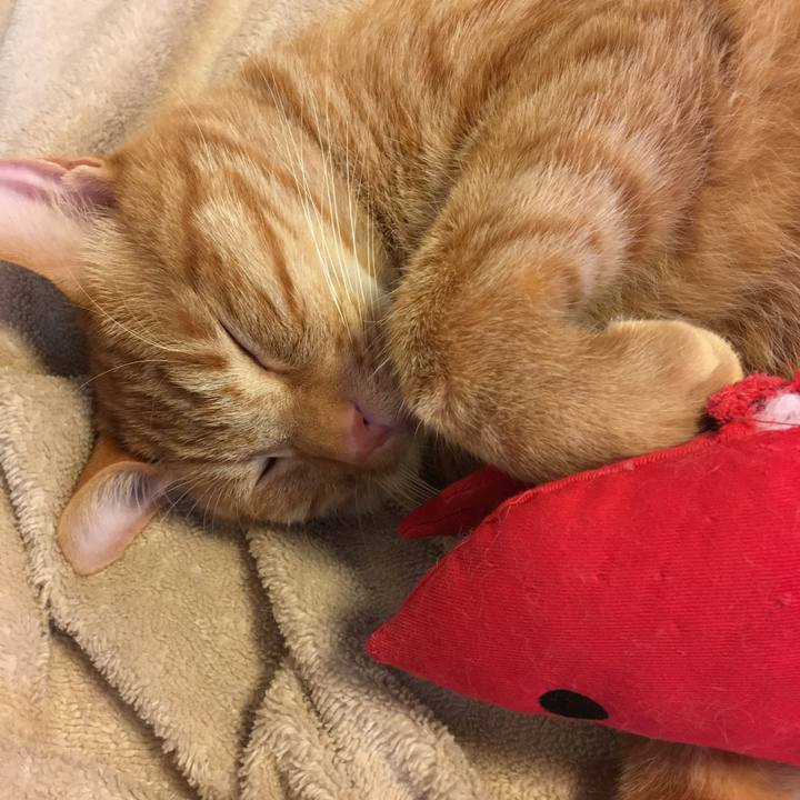 26a1e323 5815 4bb5 912e a1f64c98795e 1510714143550