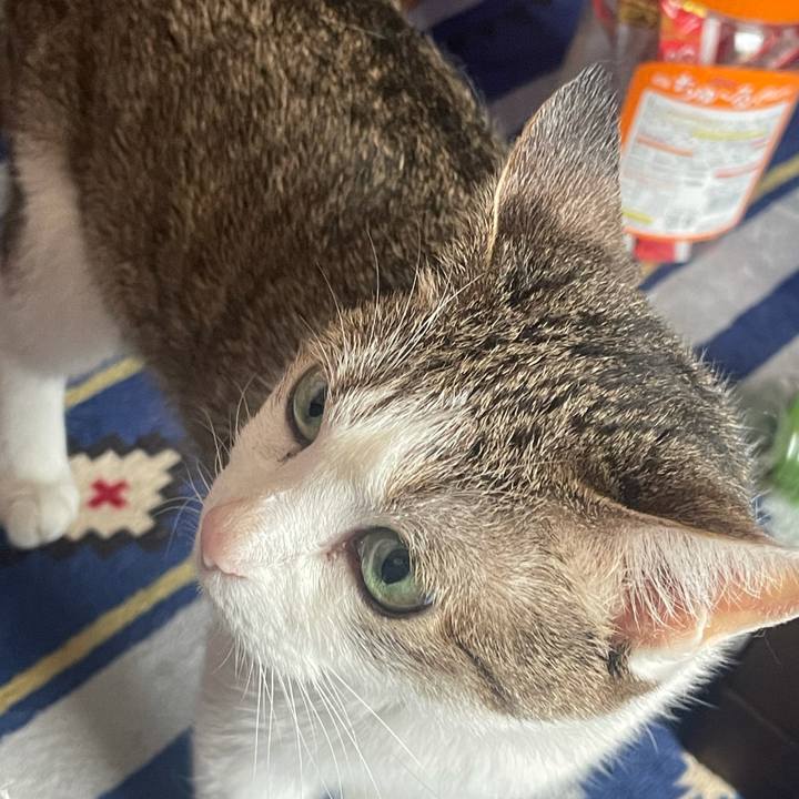 26a2012e 28d4 4c57 91ae 3ae2b64d71b9 1626134752195