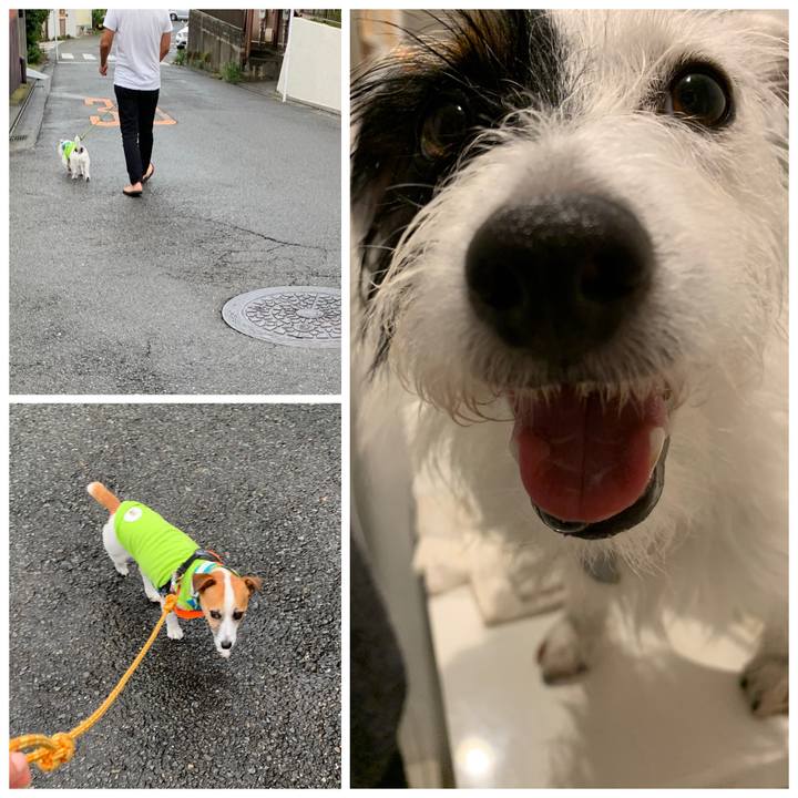 26a22032 0636 4103 94c7 0e44653a45b2 1567930389714