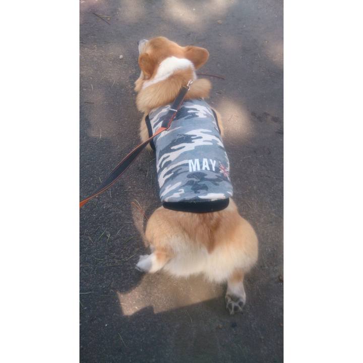 26a248cf 4d04 41ca 8854 1919b322df64 1522204196866