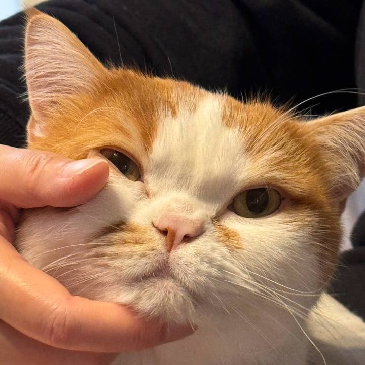 26a2545f 5453 47cc a81b 78f70b88c2d5 1772506006824