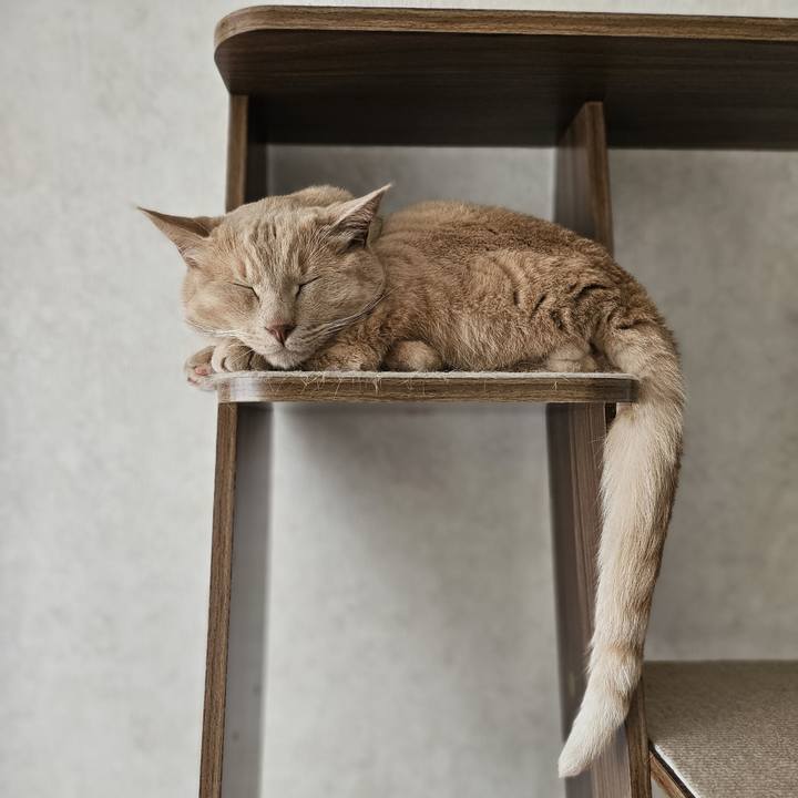 26a2757b 480f 49f6 9b80 ca634a8f8471 1722138468391