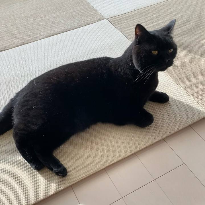 26a296c2 18a0 4aea b766 d893bad7a47f 1608593385485