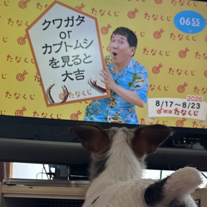 26a2c678 4ed9 4669 99c0 6e40b84f7caa 1786918683546