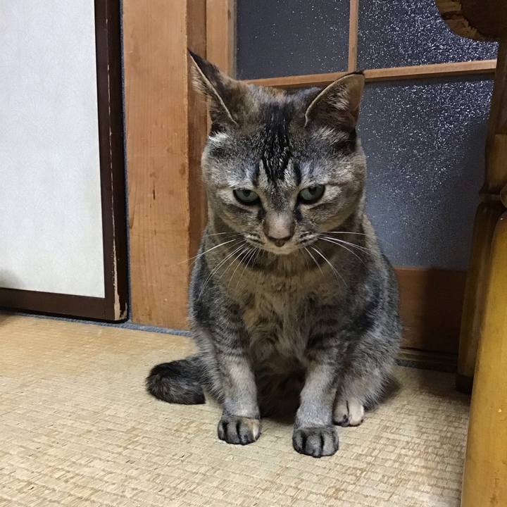 26a2dad2 9f9b 4dae 9112 edb54ec0d374 1748245724215