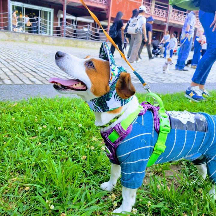 26a3038c 7379 421a b6a8 c40bdadab35e 1689549261454