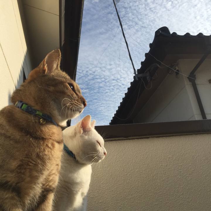 26a31323 8b6f 48ad 94de c6ab05ab1130 1508279568611