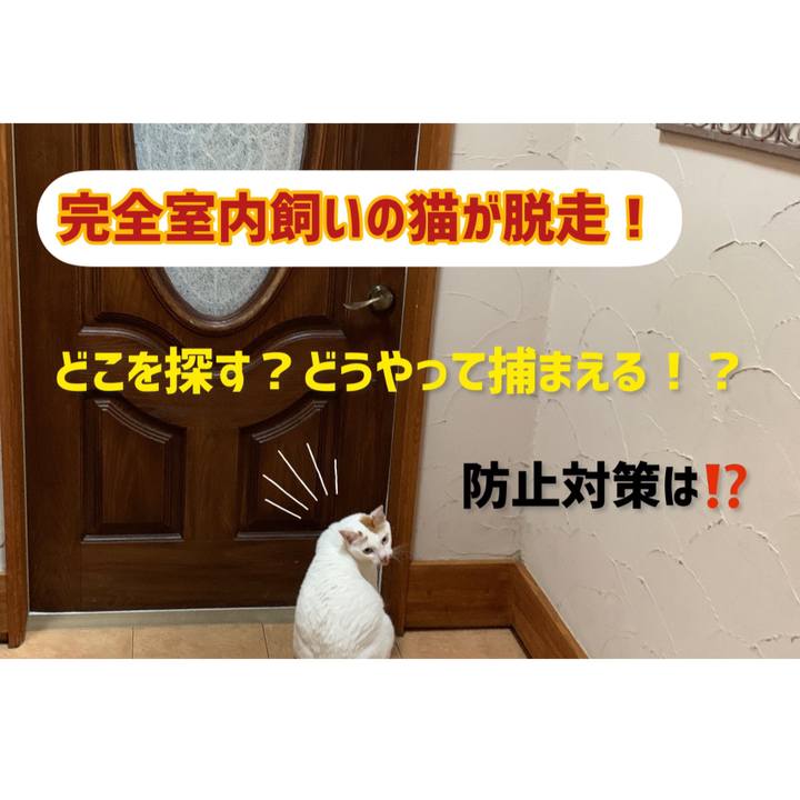 26a36d2a 01f0 48f7 b718 7d17e94d85ae 1658383123318