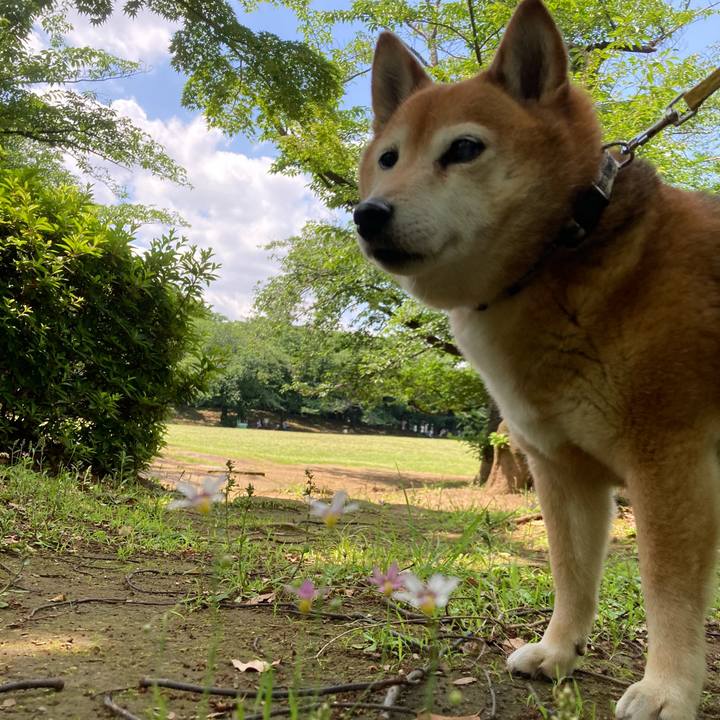 26a39add de78 46f8 bb37 462b0ef895ee 1654150658651