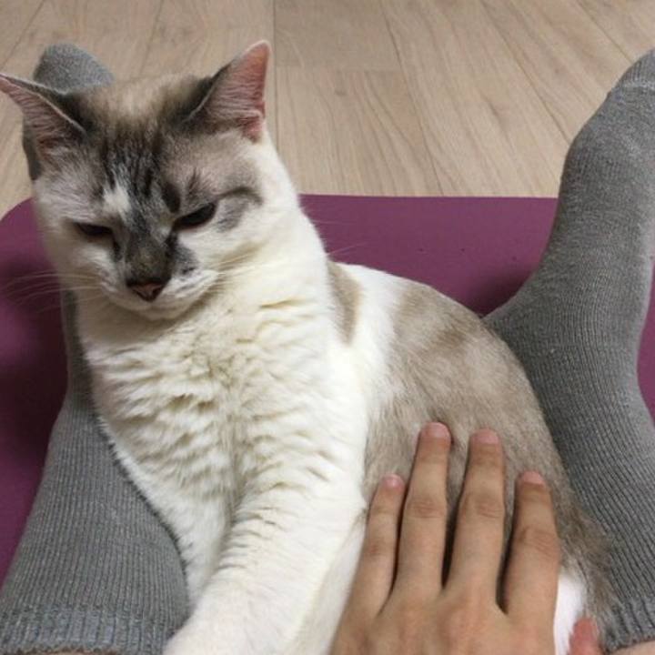 26a3deab 17ac 4f36 bb69 137c54daef27 1535548807749