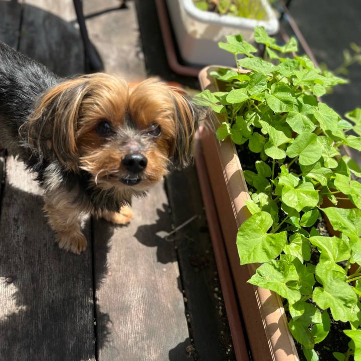 26a401f9 bfcd 4b6c bec7 a6868e79185d 1654131627562