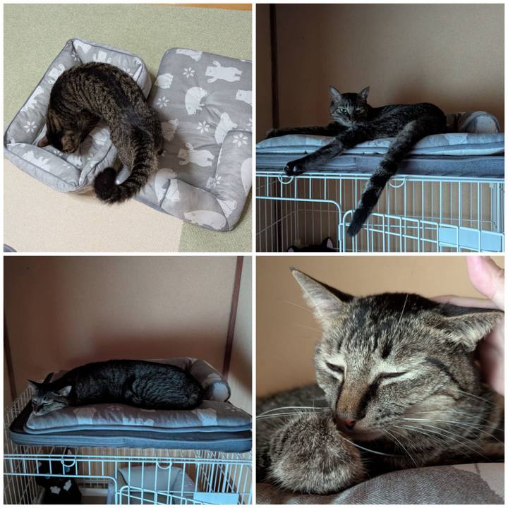 26a41a90 20ef 4708 861c ee1c2d9699e7 1751499653319