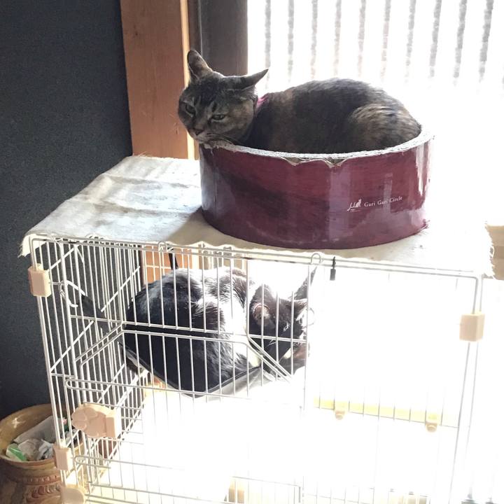 26a487e4 8f77 4137 a0d6 bd74eac910a1 1742442606844