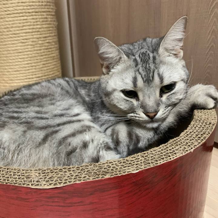 26a48b50 6d28 442a a739 09ee56a8f8d6 1616200698787