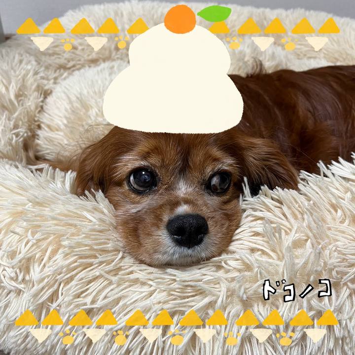 26a49c70 f819 4e18 ac57 21a7eee08c92 1704153740093