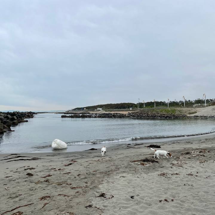 26a4ac52 492e 45d8 bd97 8e6b5d130082 1652056394941