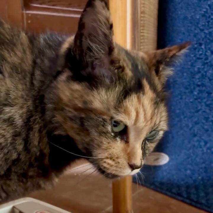 26a4b131 e632 4080 ad58 ca25556d2de8 1748223766297