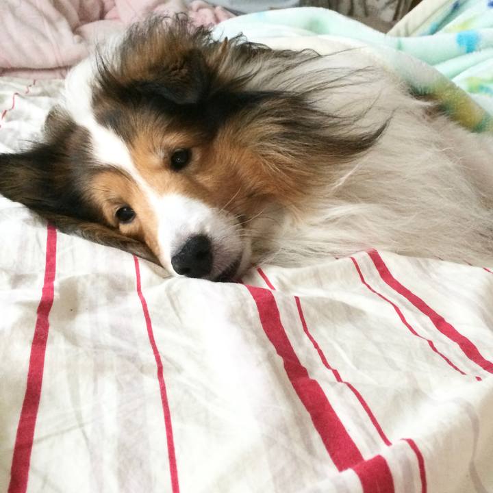 26a4e779 e53b 4f24 85dd 208e730b05ba 1593326097314