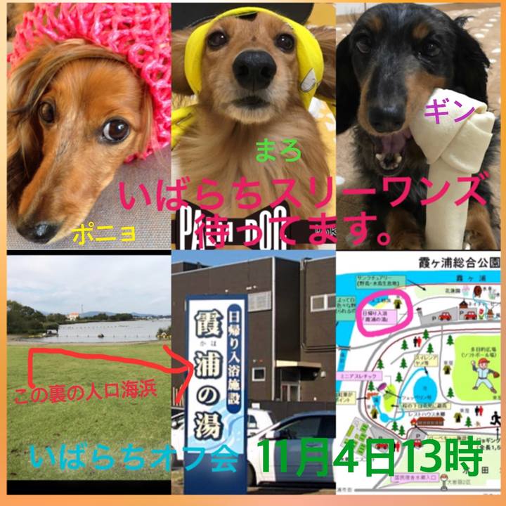 26a5617d 86cf 400f 938b 4e33f521a27e 1509373154406