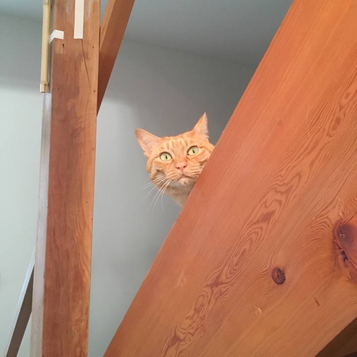 26a56593 2706 4351 a986 544a1fd2dcbc 1541896386467