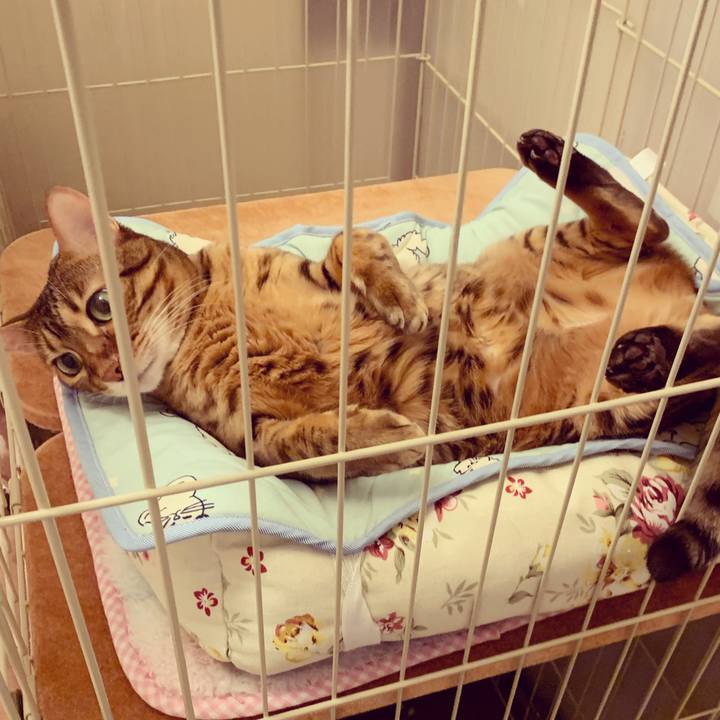 26a58497 9f91 481f b390 dd6adcfb2f4c 1597098689624