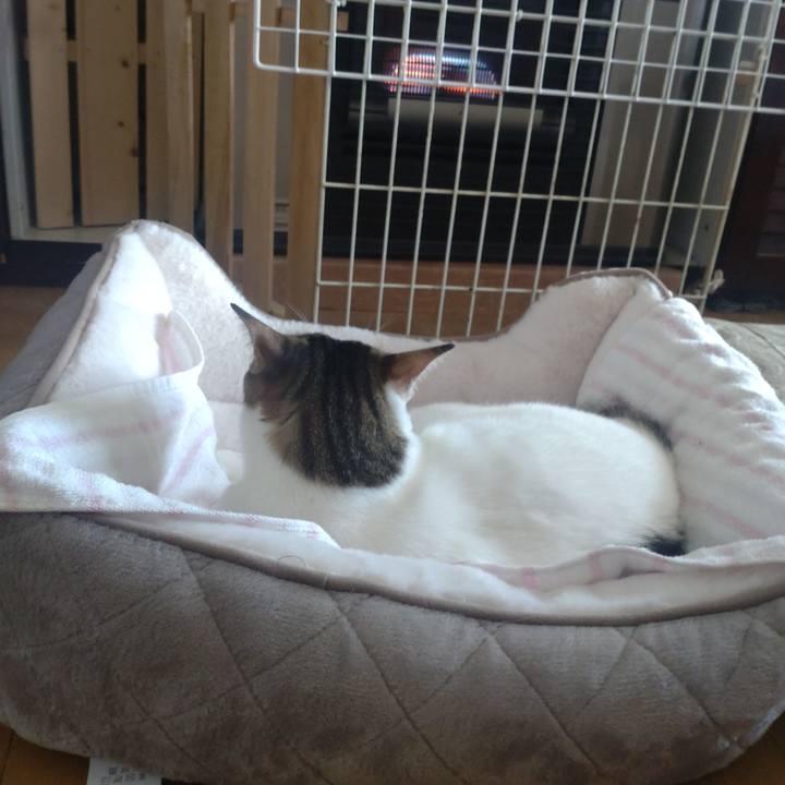 26a5c439 4e52 4c1e 901e 63a35a1c02a1 1735445007364