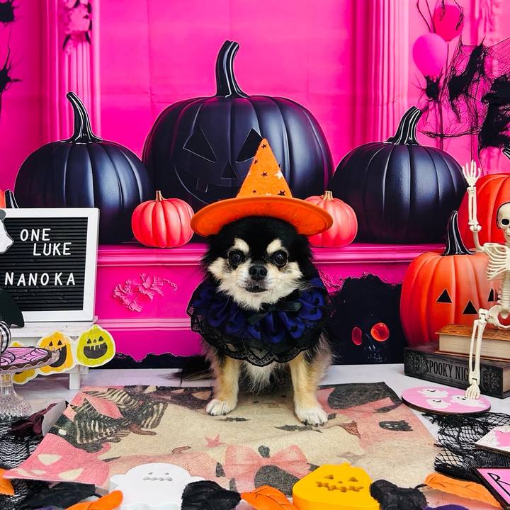 26a5d64d 883c 4c7b a07b be310e0e1954 1761030290909