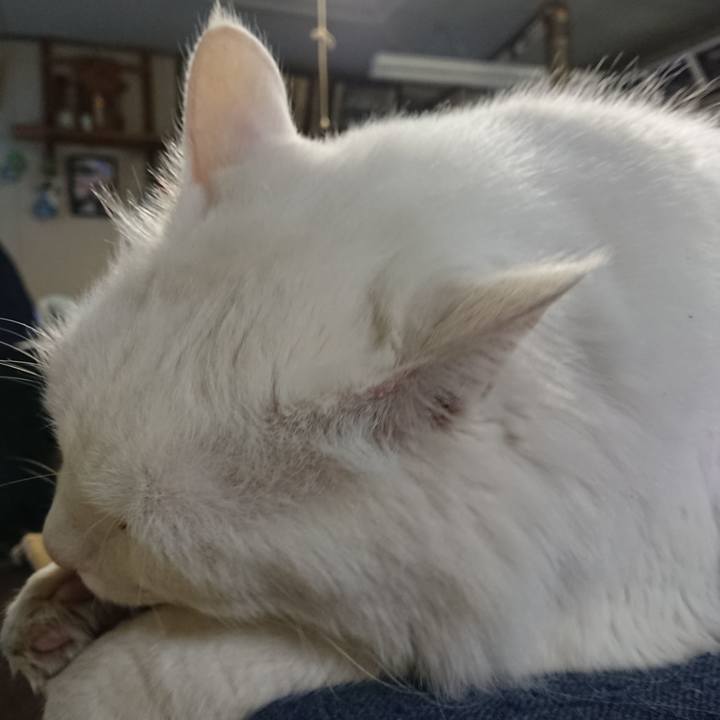 26a624e5 adb7 4d49 8f72 8cfc62ce0dd2 1573597720124