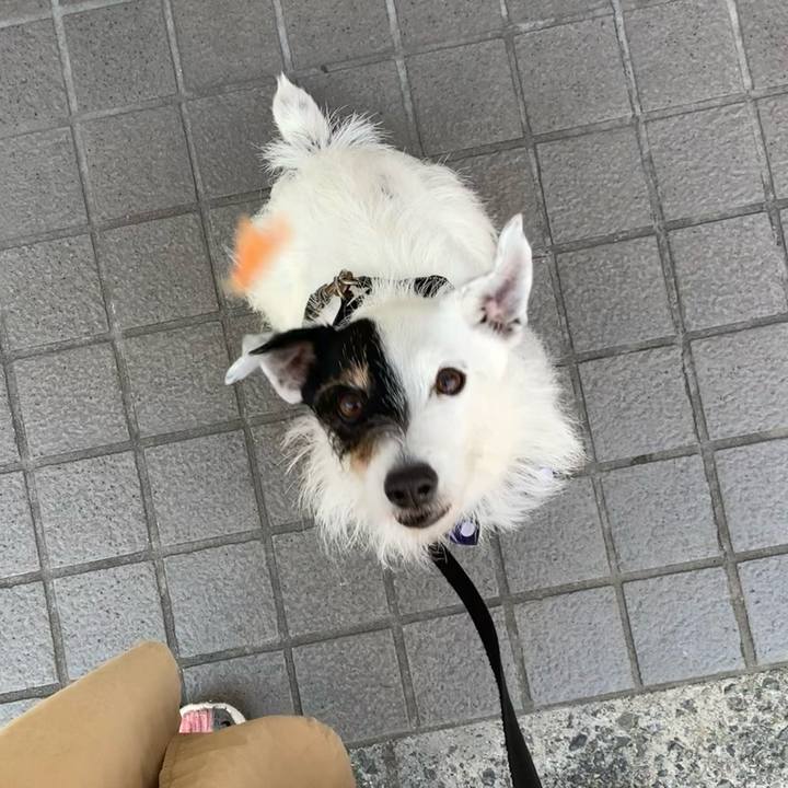 26a648a0 9c64 426d 93f4 c2425065ecd4 1715905092019