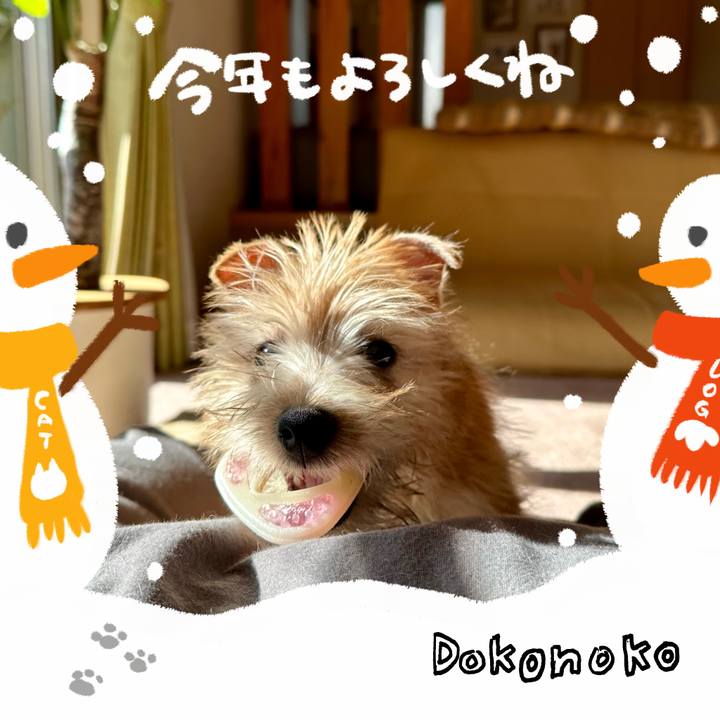 26a65b83 bdba 4463 9f18 290663dcb93e 1704197087300