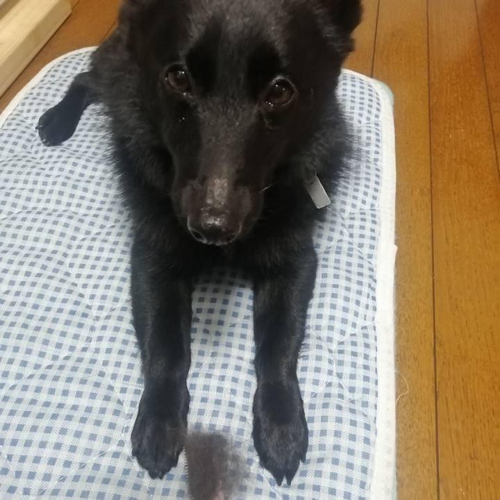 26a67240 d3d1 4f1e 82be 1d42c6ea56f8 1647261835447