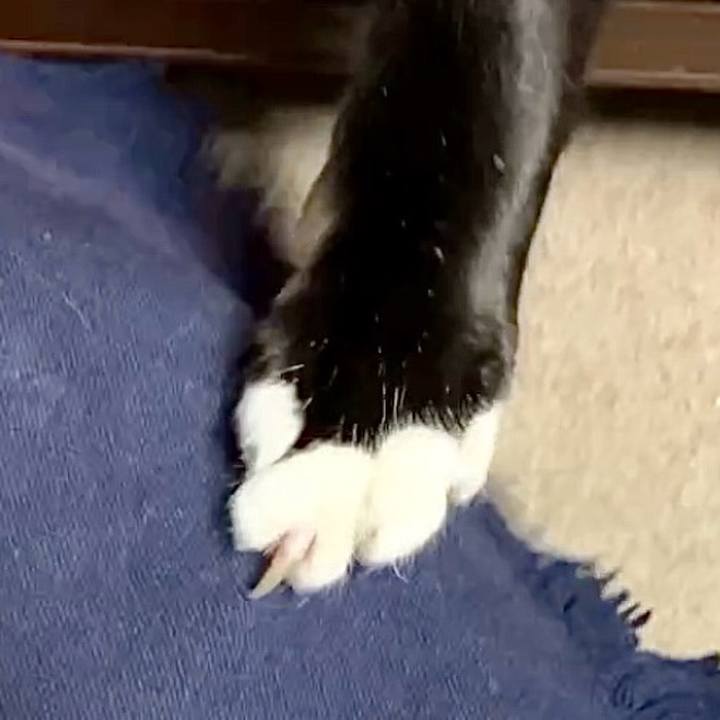 26a6a87a 6bbe 4569 8aa9 5ea79d4eb315 1733650297993