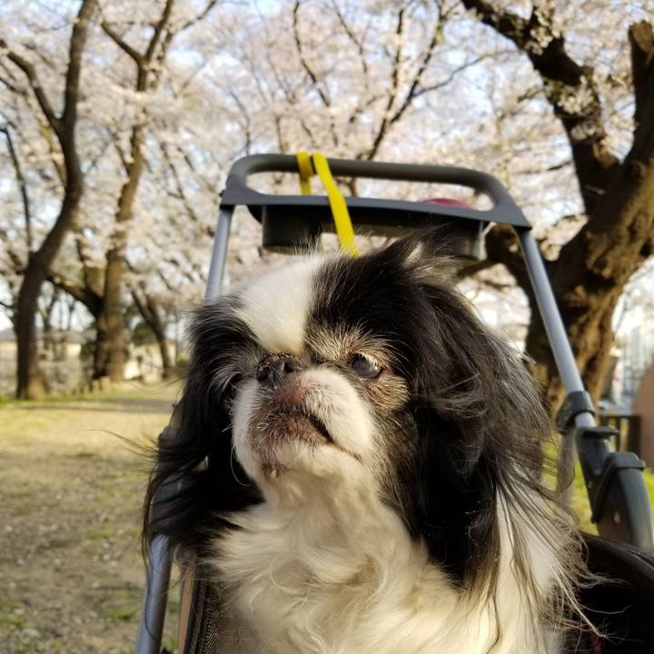 26a6d189 f497 4411 9c4f 9d22f75f0955 1554546068320