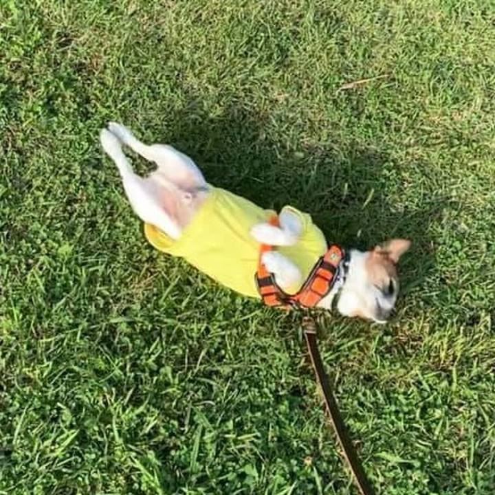 26a6db40 68b0 42ea a6e7 fbecbdbb569a 1719315340703