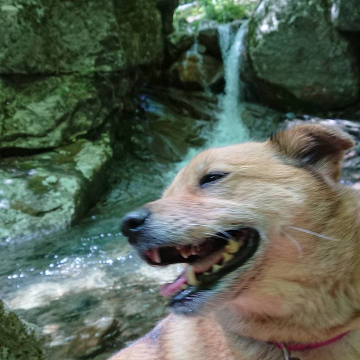 26a6dd94 033e 4d9e 8b56 ce98b0877ecc 1622370696189