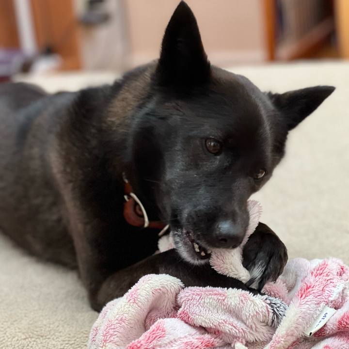 26a6e313 028c 4251 85ff 69ae9f24625e 1680930478190