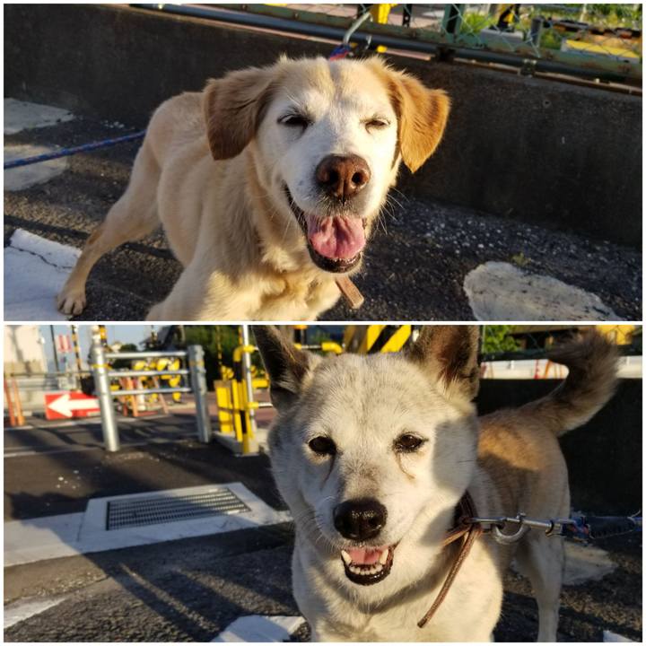 26a70cb0 77a3 4bdf bc56 6a758fc82eb4 1750204283285