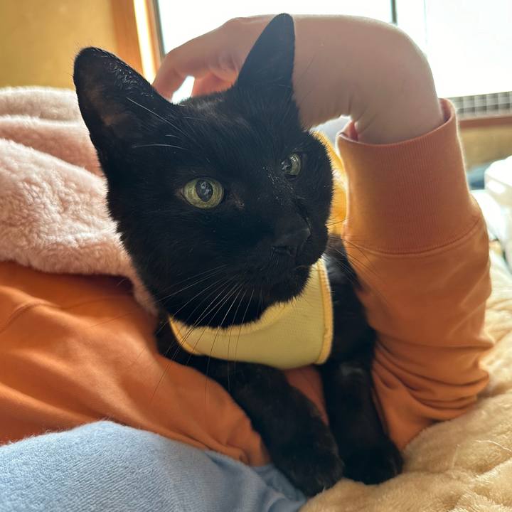 26a73a04 8cd4 4d4d b2a3 409ad6d326f5 1713753121613